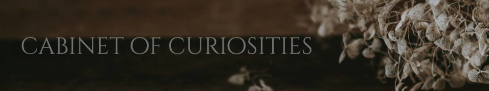 cabinet of curiosities banner