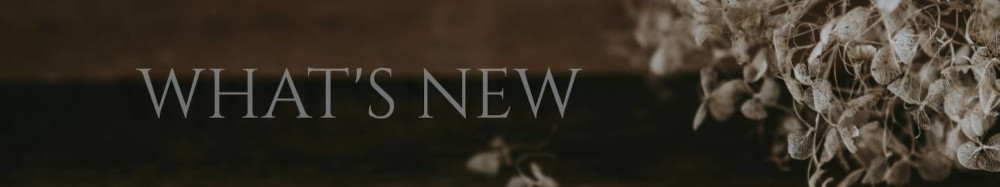what's new banner